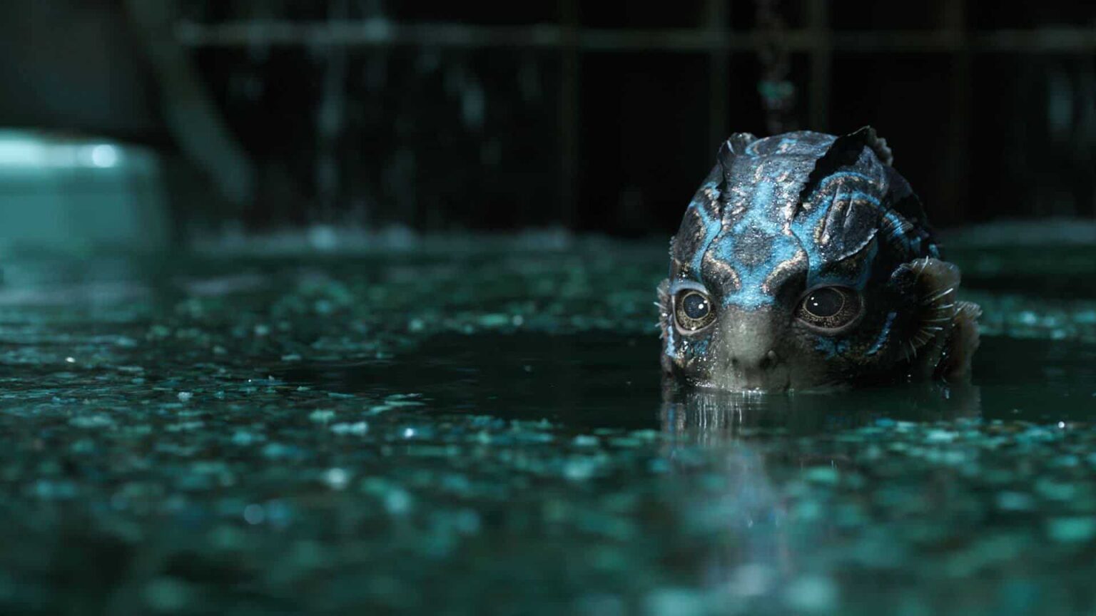 Forma da Agua