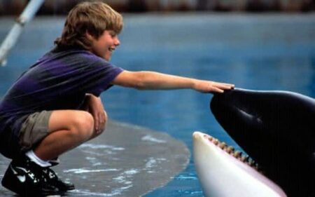 Free Willy (Reprodução)