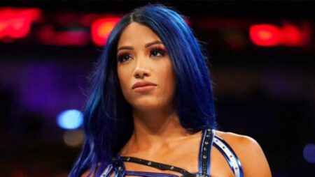 Sasha Banks diz como se sente por fazer parte do universo Star Wars Sasha Banks (Divulgação / WWE)
