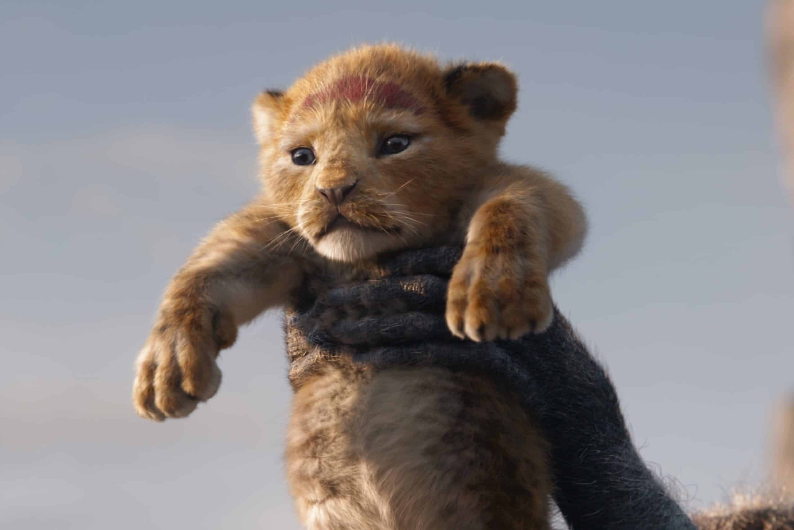 Disney prepara O Rei Leão 2; veja o que já se sabe 1 O Rei Leao scaled 1