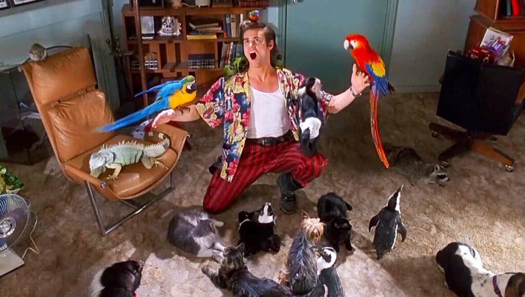 Jim Carrey como Ace Ventura b