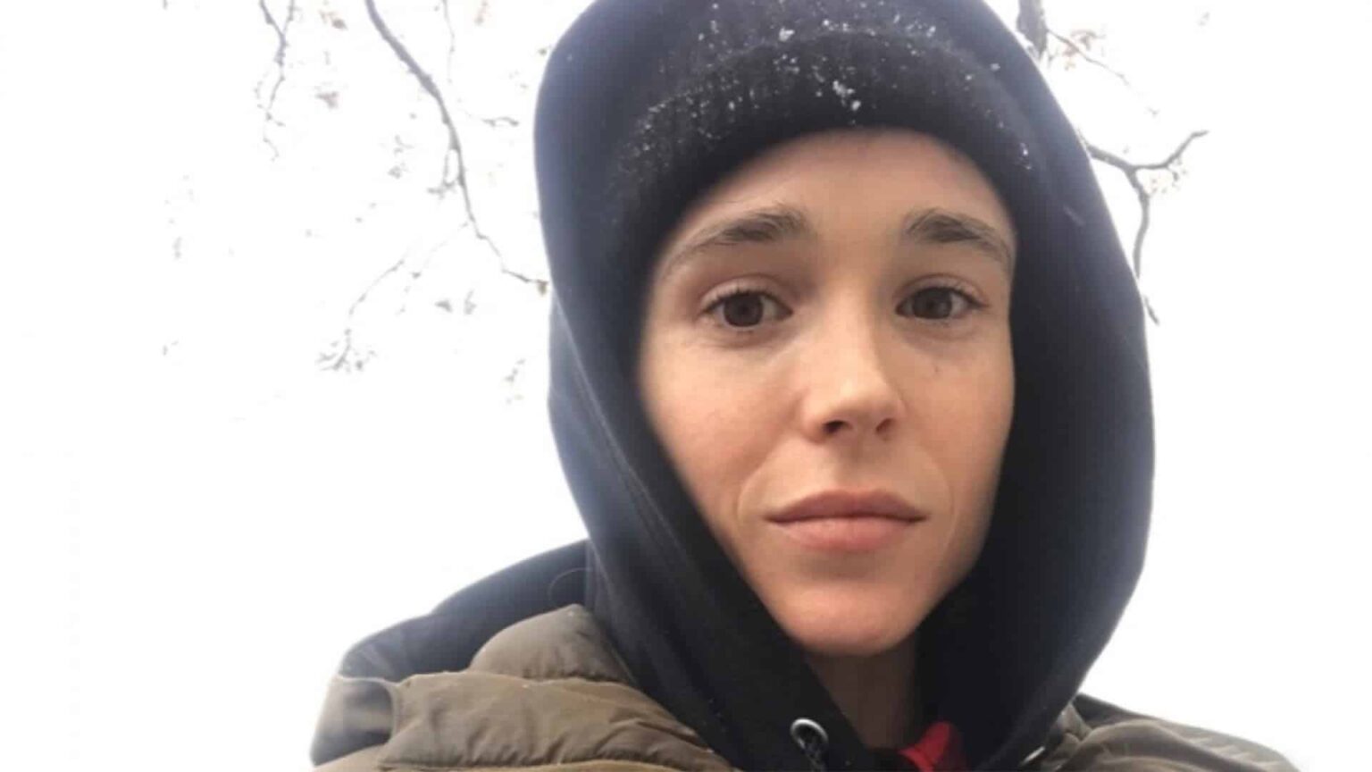 Após se assumir trans astro de The Umbrella Academy pode concorrer ao Emmy de melhor ator elliot page