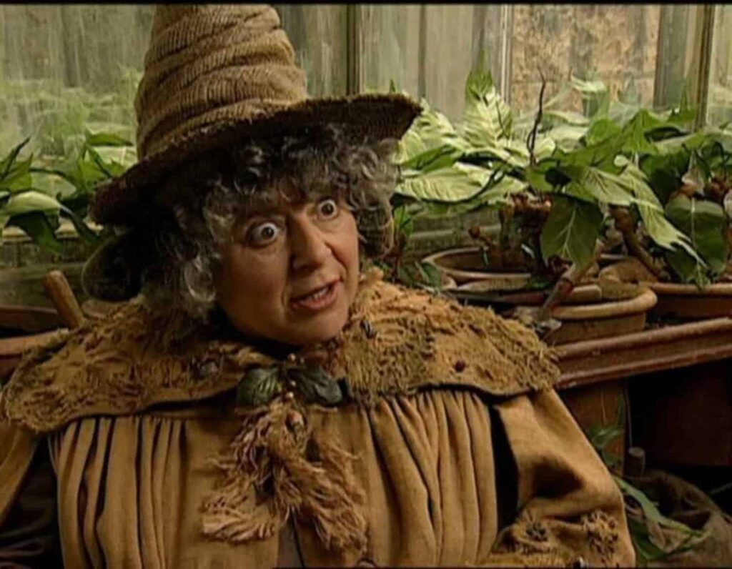 Miriam Margolyes chama astro de Monty Phyton de cruéis Miriam Margolyes em Harry Potter