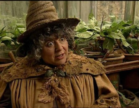 Atriz de Harry Potter detona Di Caprio: “Fedia” Miriam Margolyes em Harry Potter