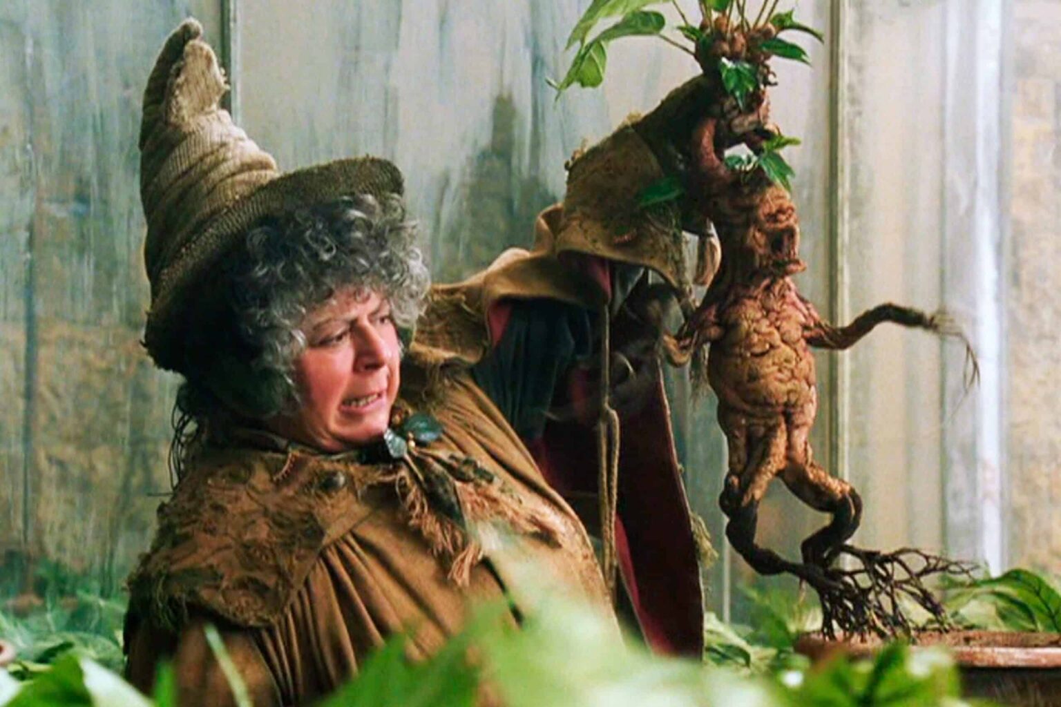Miriam Margolyes em Harry Potter