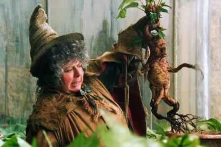 Atriz de Harry Potter revela ranço Arnold Schwarzenegger: “peidou na minha cara” Miriam Margolyes em Harry Potter