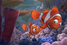 Cena de Procurando Nemo (Reprodução)