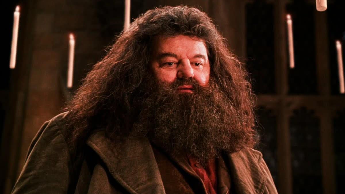 Hagrid (Robbie Coltrane) em a Saga Harry Potter (Reprodução)