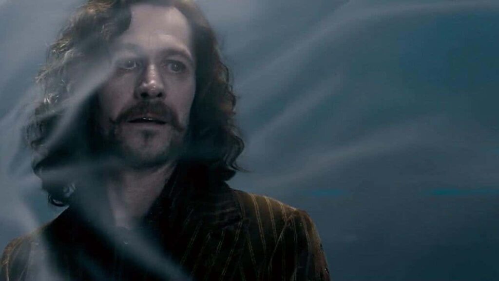 6 mortes mais comoventes de Harry Potter Sirius Black (Gary Oldman) em Harry Potter (Reprodução)