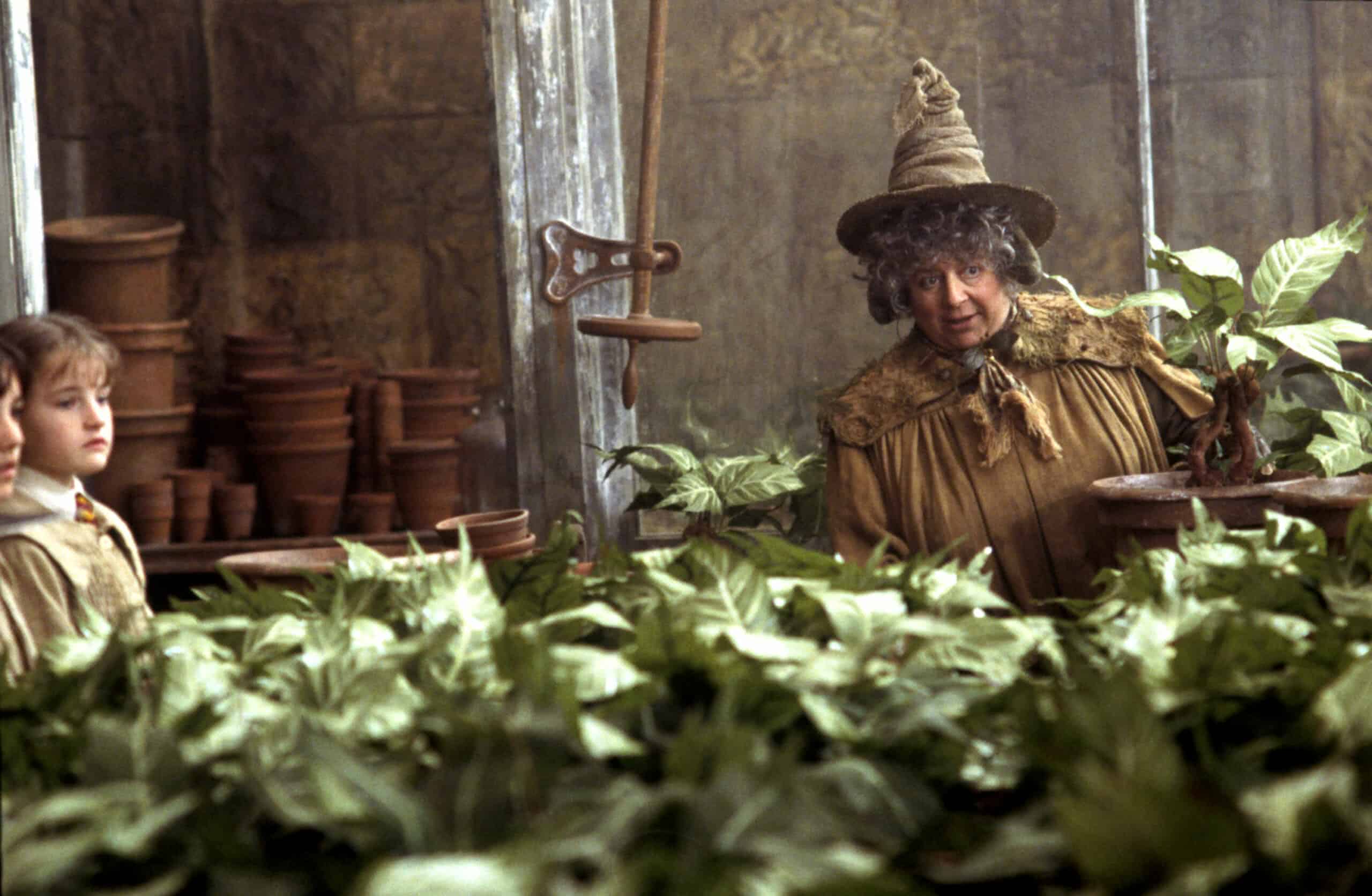 Pomona Sprout (Miriam Margolyes) em Harry Potter e a Câmara Secreta (Reprodução)