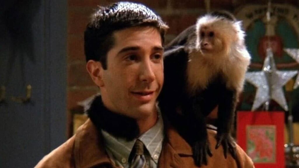 Friends: Você se lembra destes personagens coadjuvantes? Ross David Schwimmer e o macaco Marcel Katie em Friends Reproducao