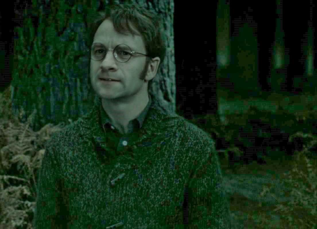 Tiago Potter (Adrian Rawlins) em Harry Potter (Reprodução)