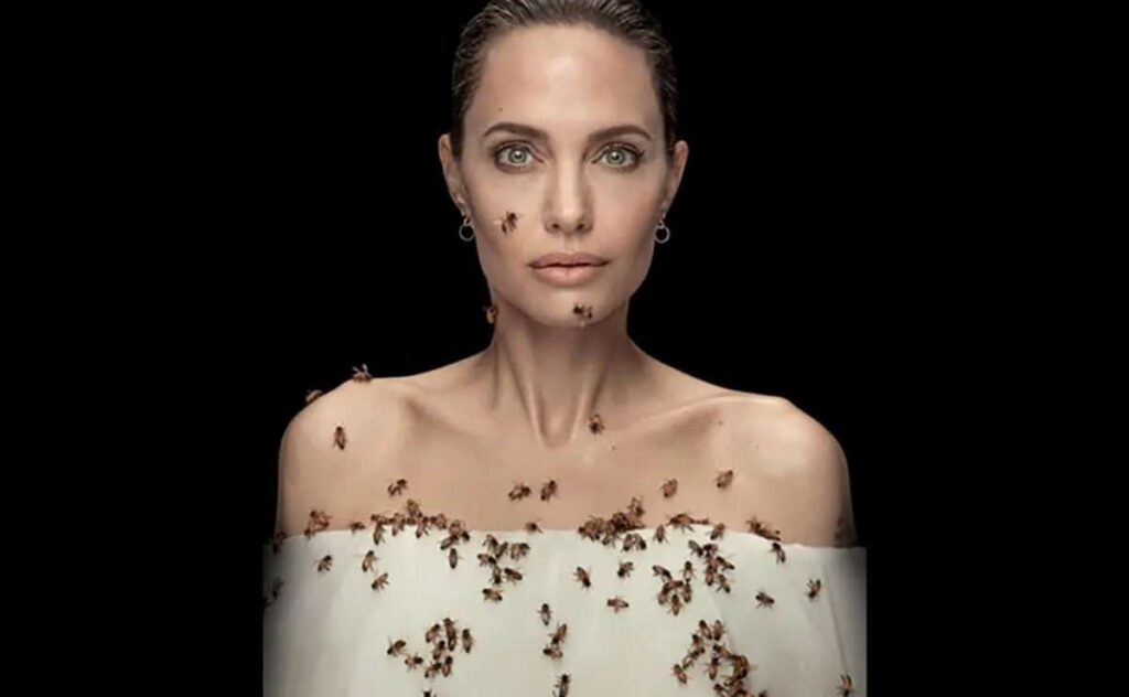 Angelina Jolie posa coberta de abelhas Angelina Jolie (Divulgação / National Geographic)