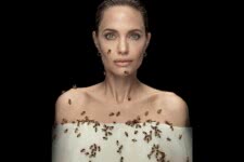 Angelina Jolie (Divulgação / National Geographic)