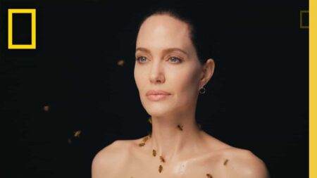 Angelina Jolie (Divulgação / National Geographic)