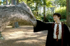 Harry Potter (Daniel Radcliffe) e Bicuço em Harry Potter e o Prisioneiro de Azkaban (Reprodução)