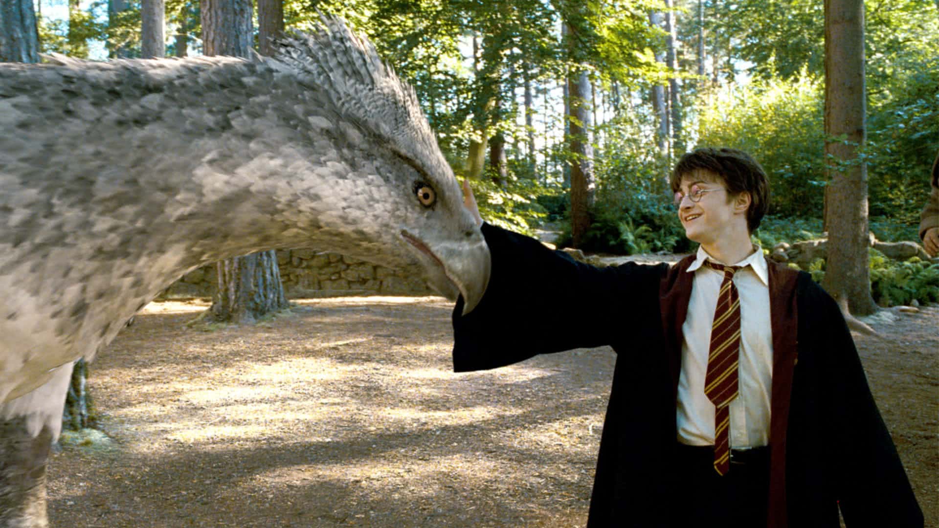 Harry Potter (Daniel Radcliffe) e Bicuço em Harry Potter e o Prisioneiro de Azkaban (Reprodução)