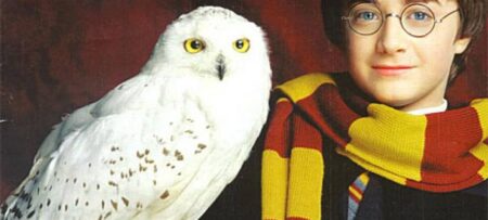 Por que Edwiges teve que morrer em Harry Potter e as Relíquias da Morte? Harry Potter (Daniel Radcliffe) e Edwiges em Harry Potter e a Pedra Filosofal (Divulgação)
