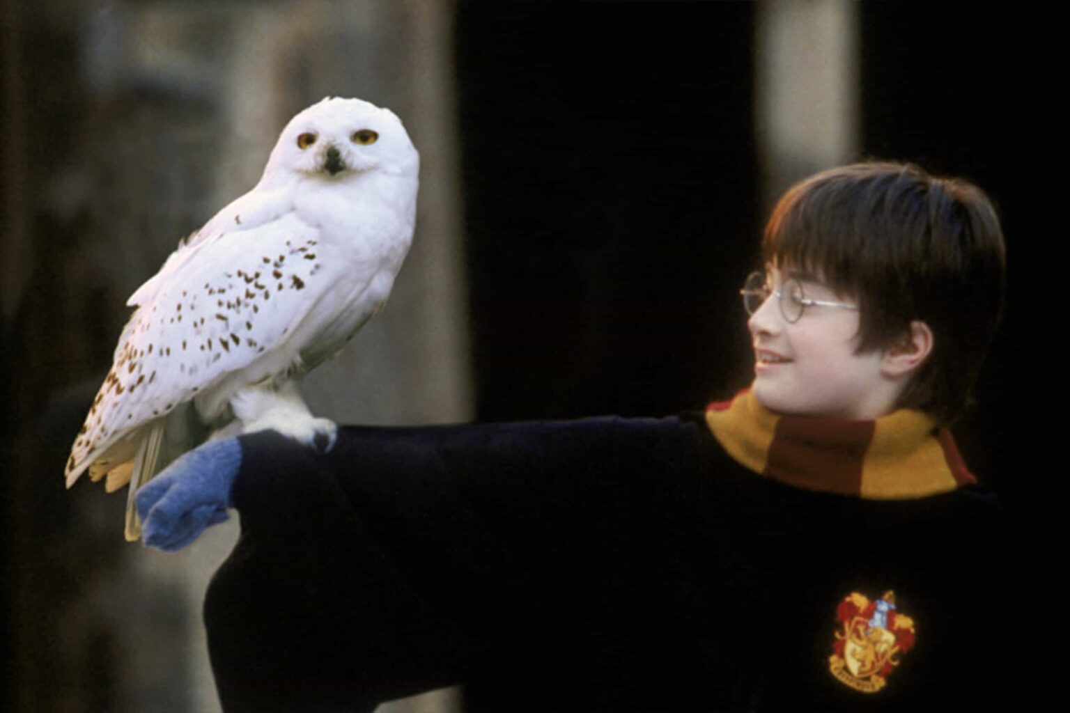 Harry Potter (Daniel Radcliffe) em Harry Potter e a Pedra Filosofal (Reprodução)