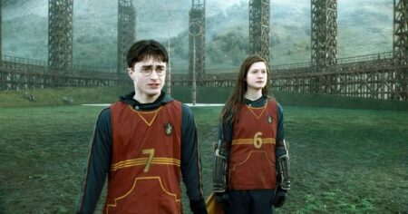 HarryQuidditchHBP