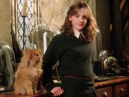 Hermione (Emma Watson) em Harry Potter (Divulgação)