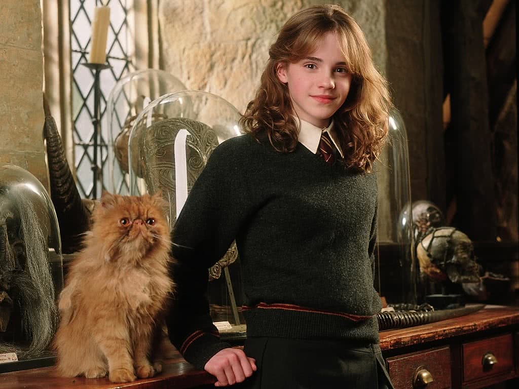 Hermione (Emma Watson) em Harry Potter (Divulgação)