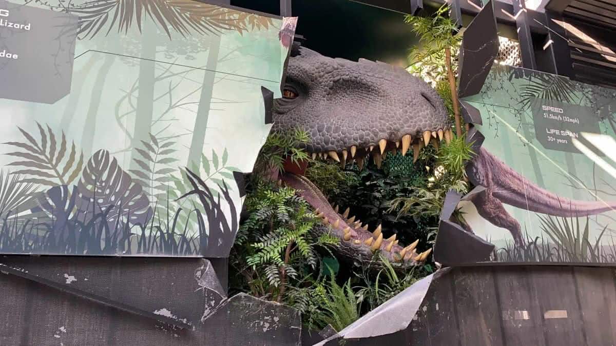 Indominus Rex no Jurassic World - The Ride (Reprodução)
