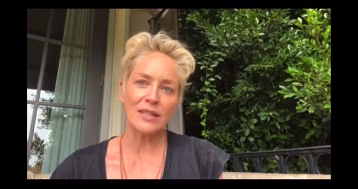 Sharon Stone pode perder emprego por exigir vacinados no set 2 Sharon Stone fala sobre ameaca de demissao por exingencia de colegas vacinados Reproducao