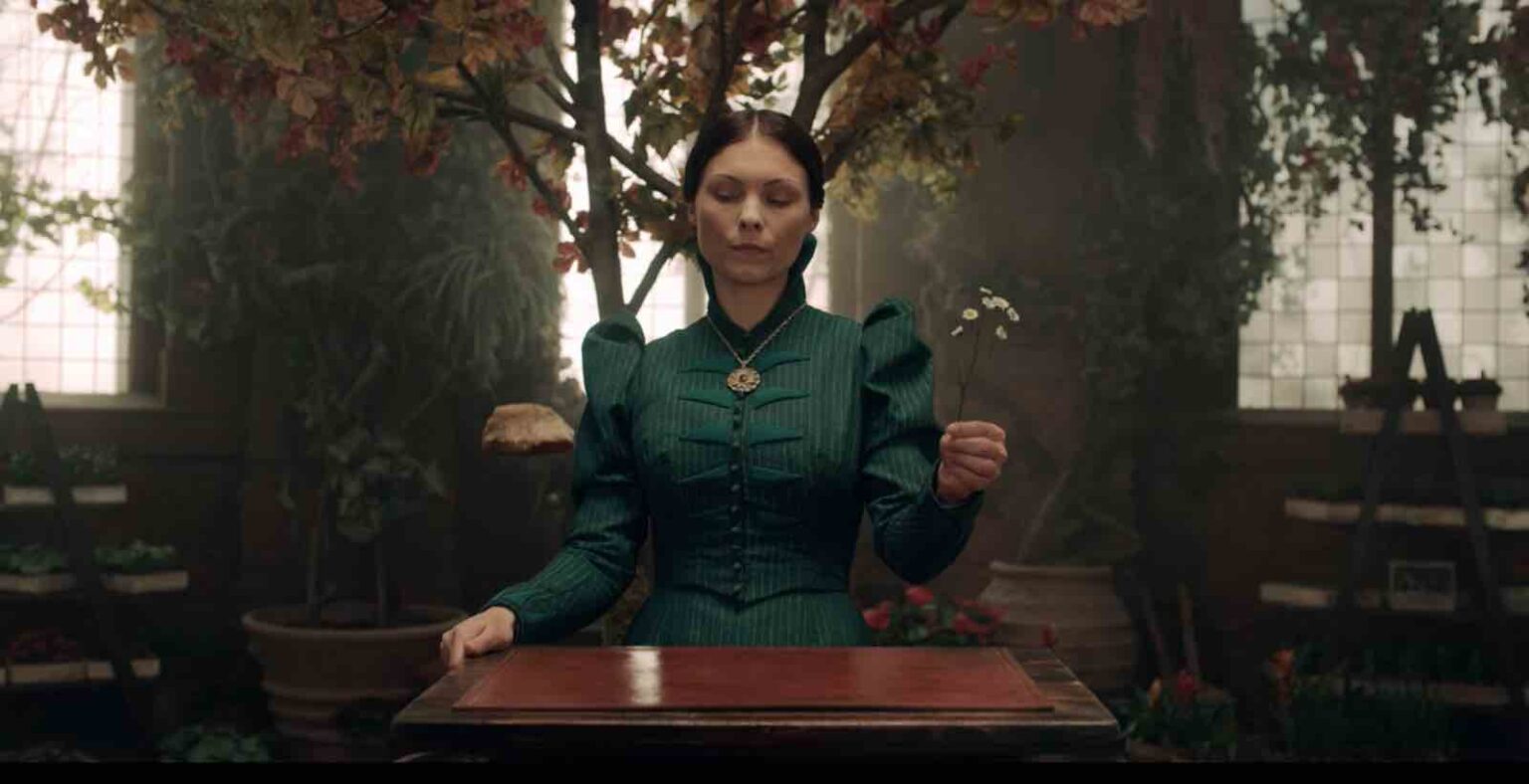 Tissaia de Vries: mistérios e história da personagem em The Witcher Tissaia de Vries (MyAnna Buring) em The Witcher (Reprodução)