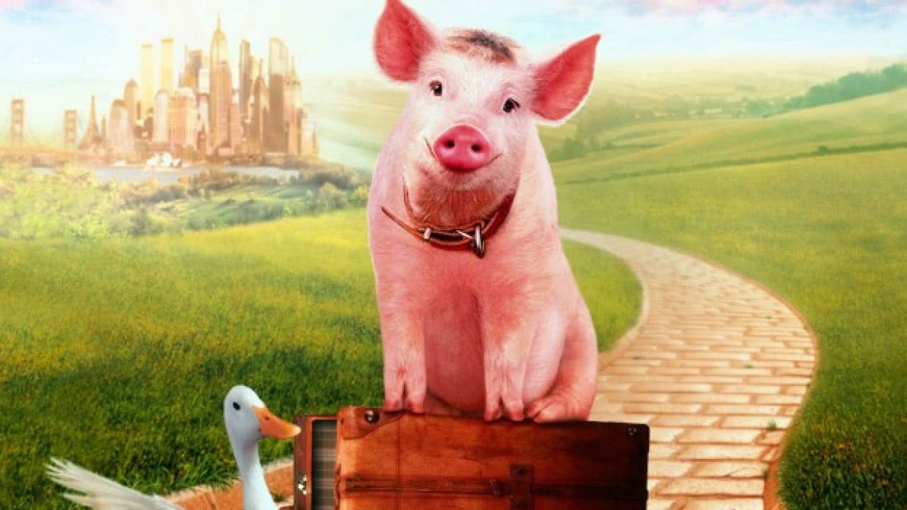 5 animais do cinema que todo mundo queria ter como pet 6 Babe em Babe, O Porquinho Atrapalhado (Reprodução)
