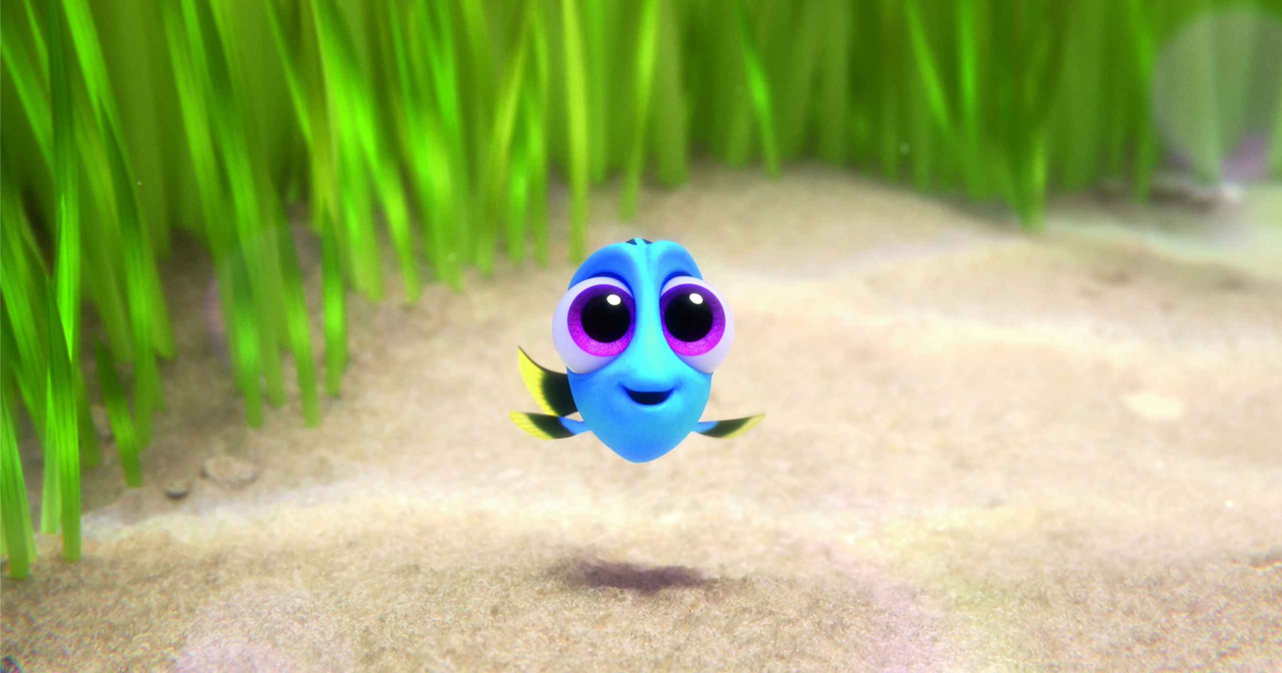 5 animais do cinema que todo mundo queria ter como pet 2 Baby Dory em Procurando Dory (Reprodução)