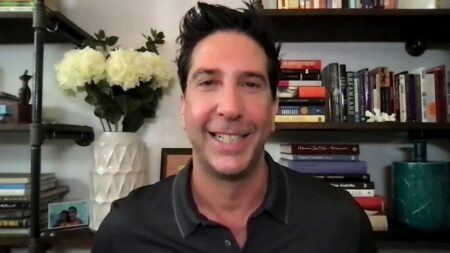 David Schwimmer Reproducao