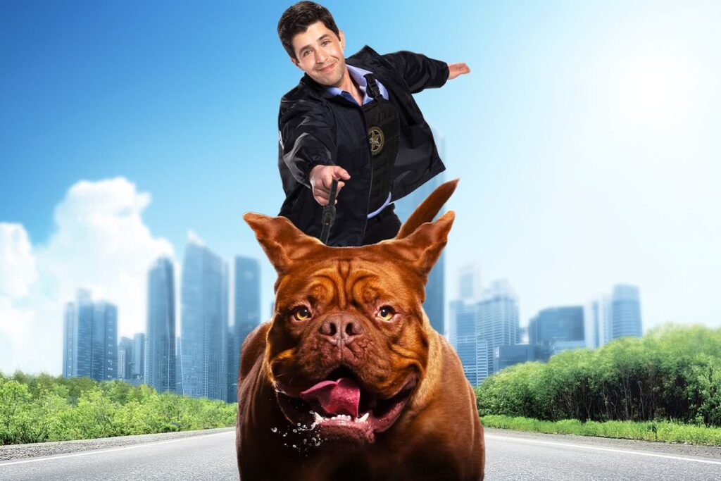 Turner and Hooch