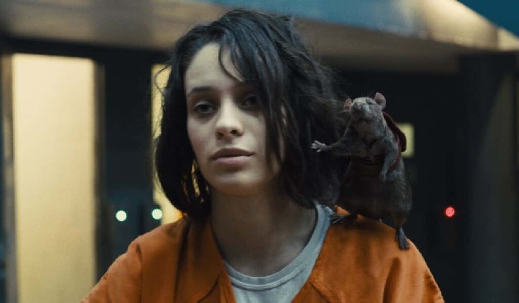 Caça-Ratos 2 (Daniela Melchior) em O Esquadrão Suicida (Reprodução / DC)