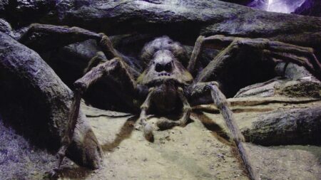 Descubra a quais casas de Hogwarts pertencem os Animais Fantásticos Aragogue em Harry Potter e a Câmara Secreta (Reprodução)