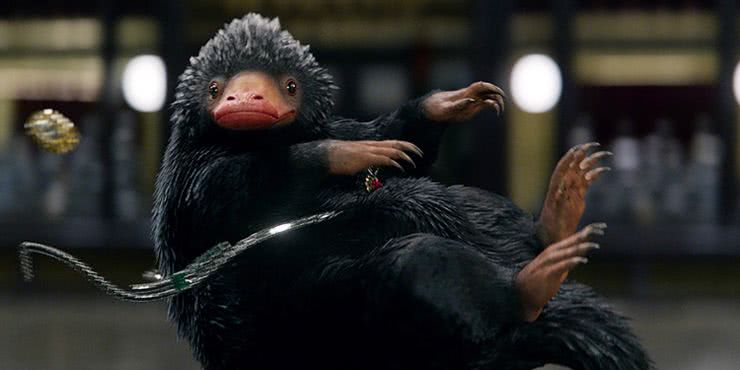 5 criaturas de Animais Fantásticos que todo fã precisa conhecer 3 Cena de Animais Fantásticos e Onde Habitam (Reprodução)
