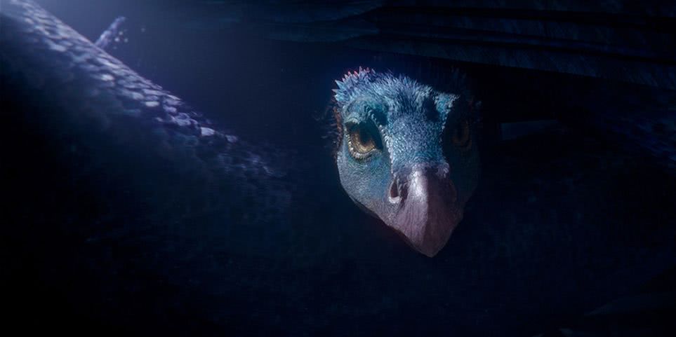5 criaturas de Animais Fantásticos que todo fã precisa conhecer 6 Cena de Animais Fantasticos e Onde Habitam Reproducao 4