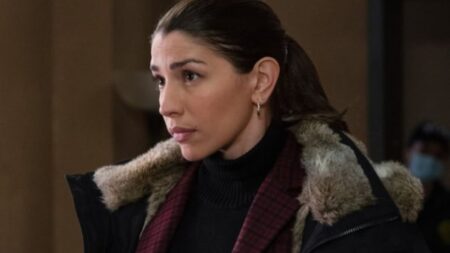 Law and order svu epipoca1