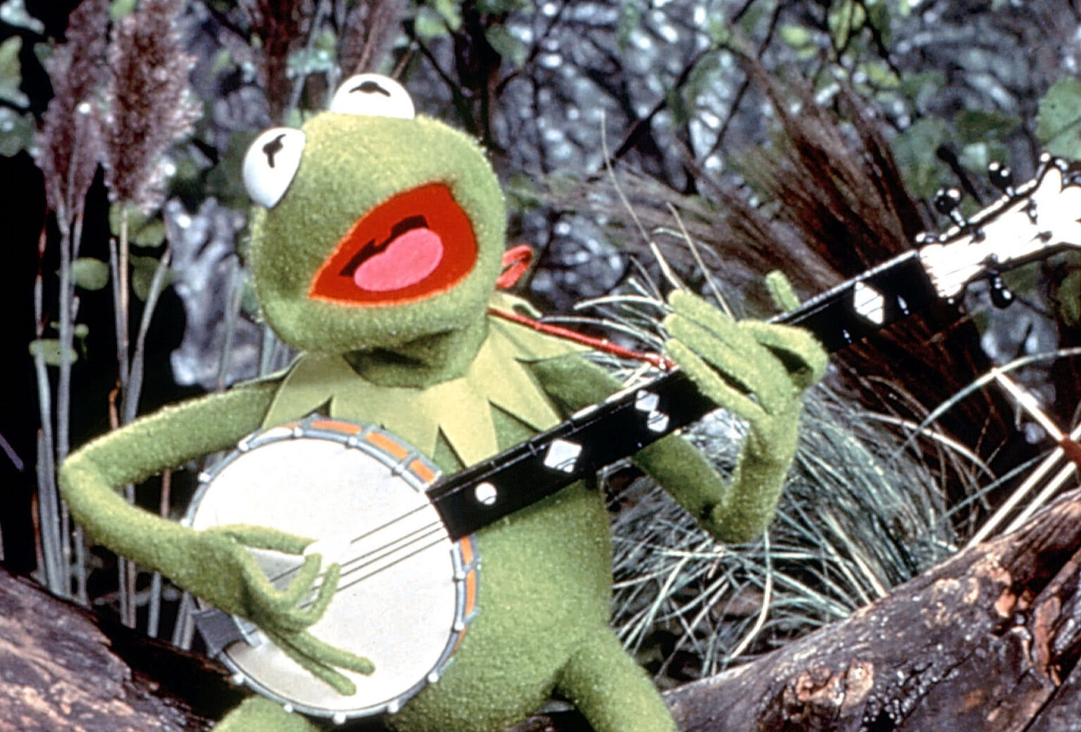 Frank Oz afirma que a Disney o quer longe de Os Muppets Os Muppets