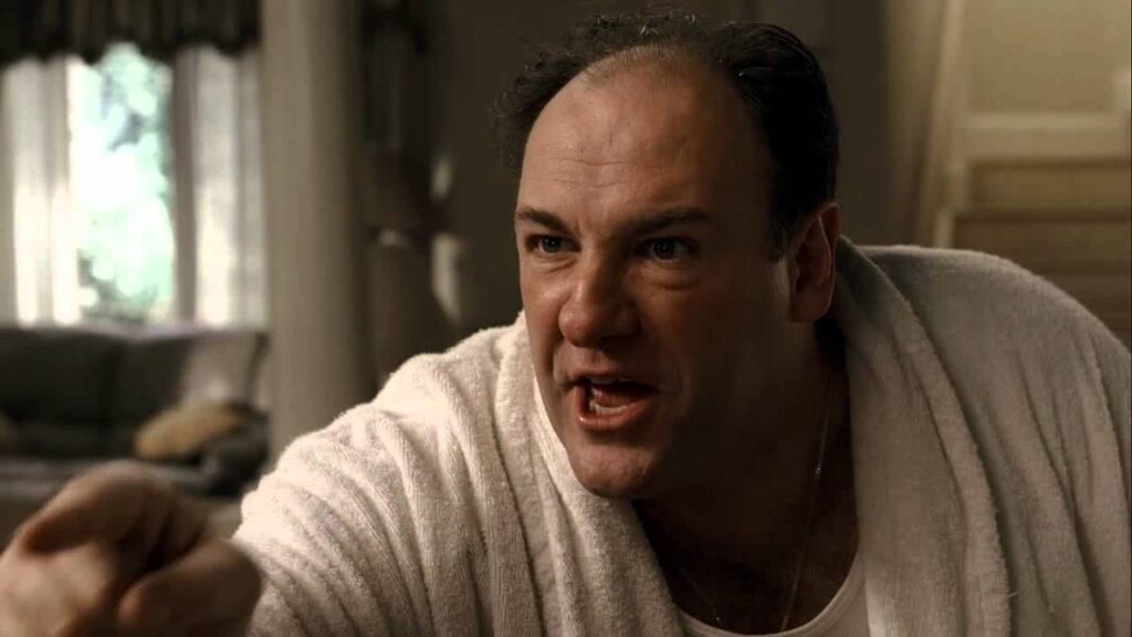 sopranos james gandolfini mean director