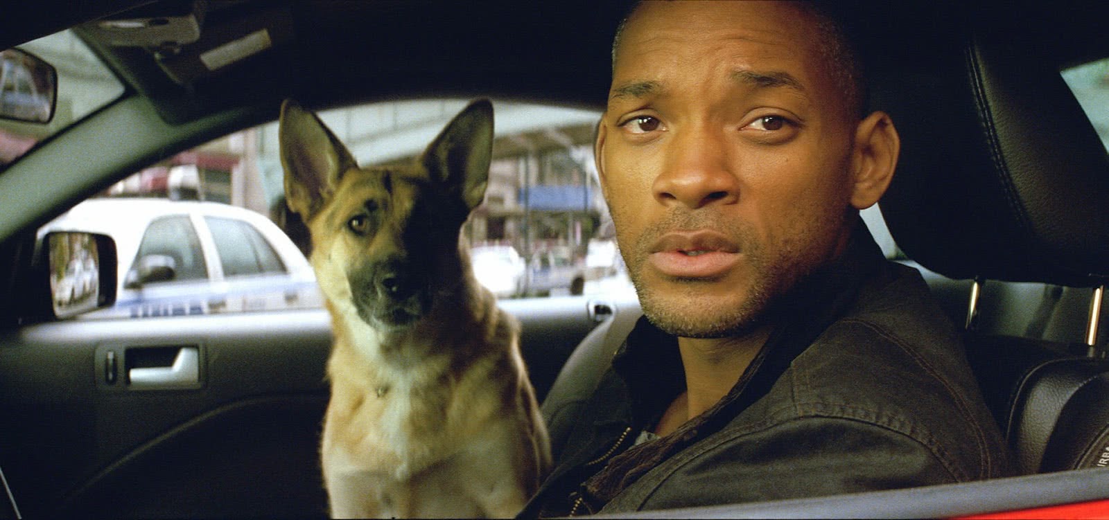 Scene from I Am Legend (Reproduction)