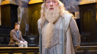 Michael Gambon como Dumbledore em Harry Potter