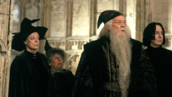 Michael Gambon como Dumbledore