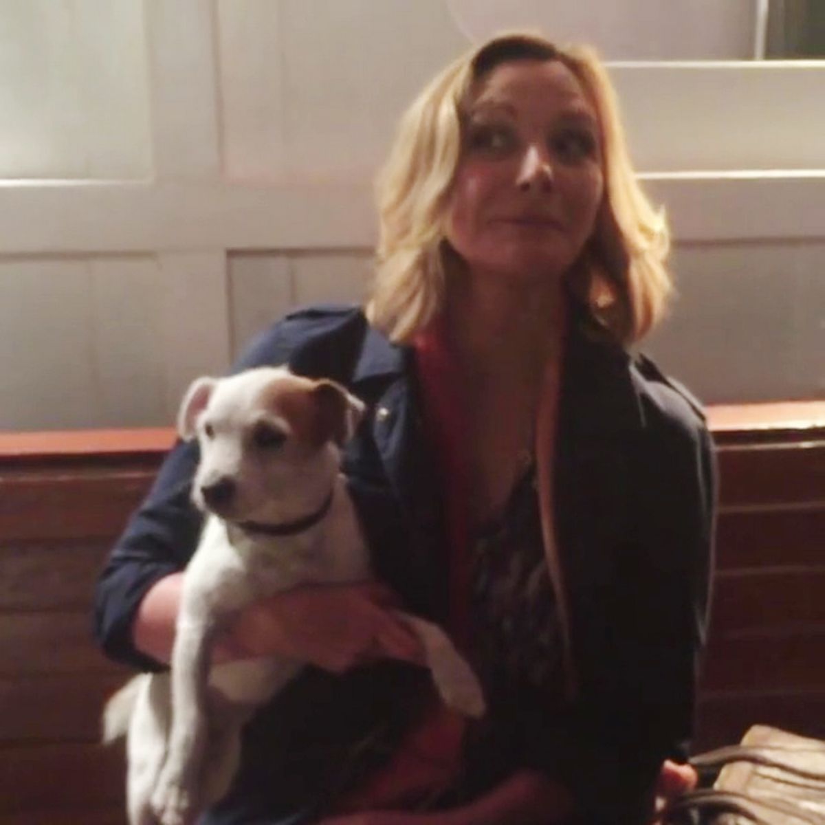 Atriz publicou vídeo com cachorro e pessoas consideraram alfinetada a Sarah Jessica Parker (Reprodução/Instagram)