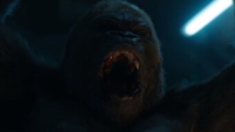 Charlie, o Gorila em Pacificador (Reprodução / HBO Max)