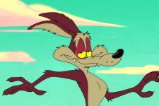 Wile E. Coyote em Looney Tunes (Reprodução)