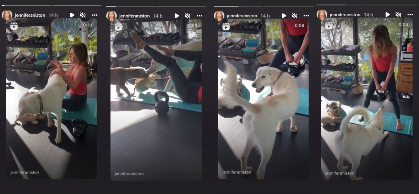 Jennifer Aniston e seus cachorros (Reprodução / Instagram)
