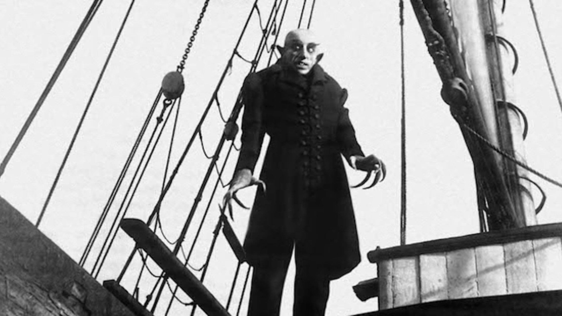 Entenda por que Harry Styles desistiu de estrelar remake de clássico do terror 2 Nosferatu