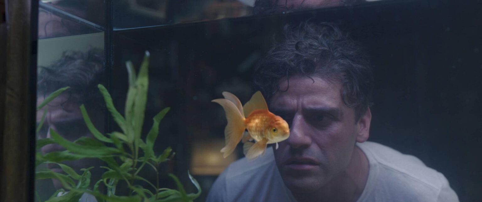 Depois de Cavaleiro da Lua, Oscar Isaac pode não aparecer em outras produções da Marvel Oscar Isaac como Marc Spector/Steven Grant em Cavaleiro da Lua