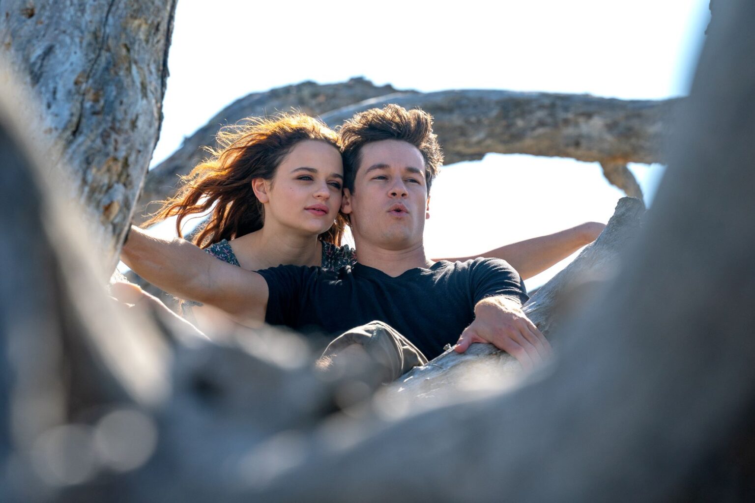 Astro de Ainda Estou Aqui será o próximo Romeu do cinema TIB 14373K